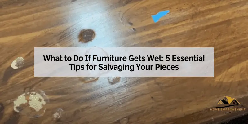 What to Do If Furniture Gets Wet