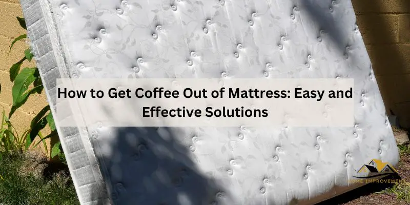 How to Get Coffee Out of Mattress