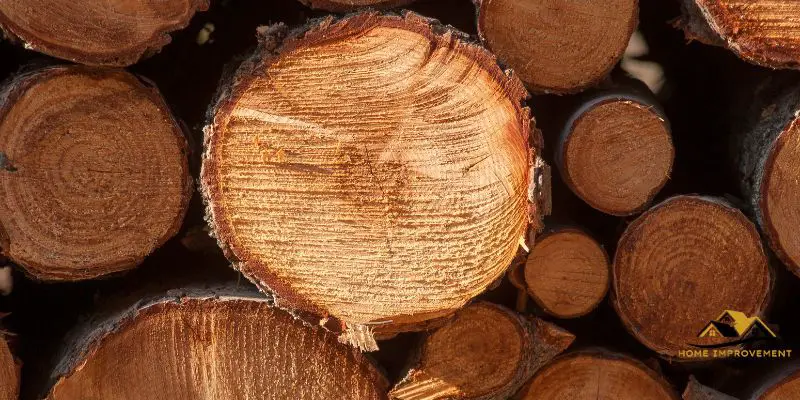 Is Cottonwood Good Firewood?