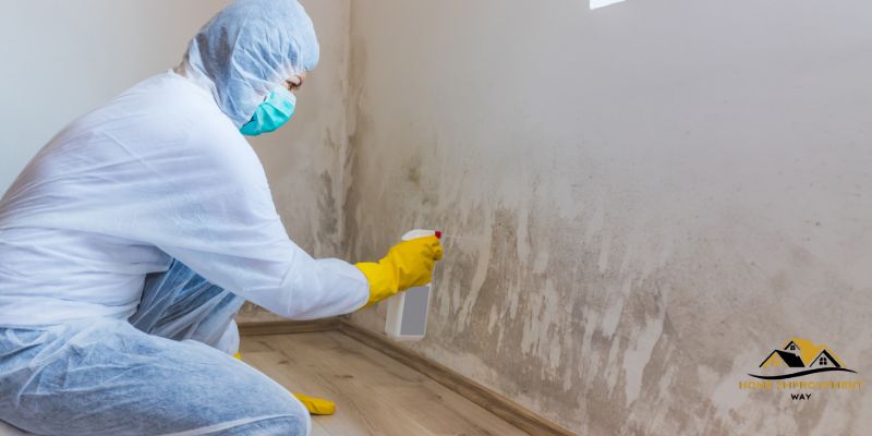 How to Banish Mold from Painted Walls