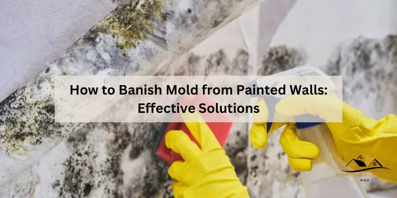 How to Banish Mold from Painted Walls