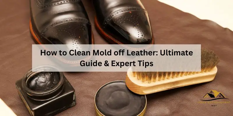 How to Clean Mold off Leather