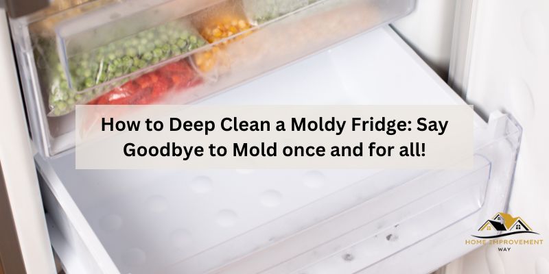 How to Deep Clean a Moldy Fridge