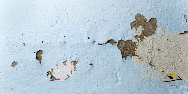 How to Quickly Restore Chipped Paint on Wall