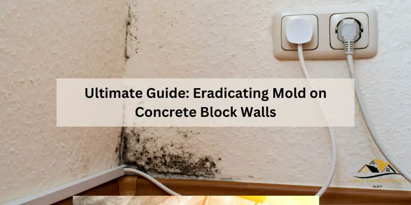 how to get rid of Mold on Concrete Block Walls