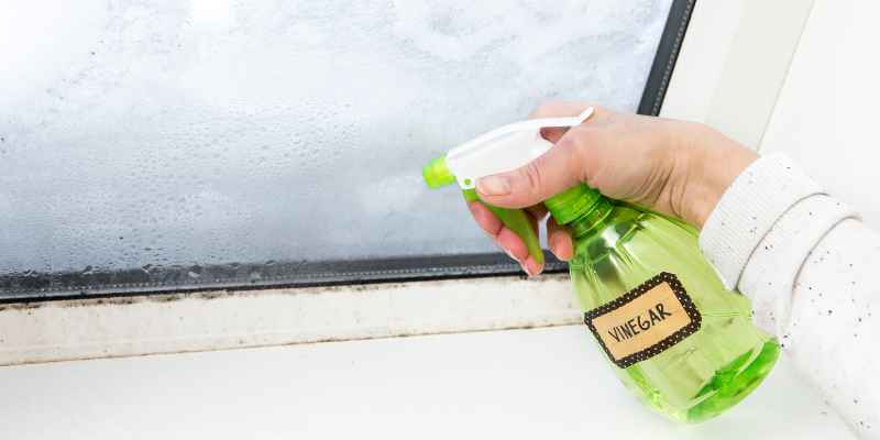 Can You Put Vinegar in a Carpet Cleaner
