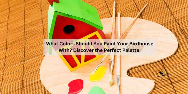 What Colors Should You Paint Your Birdhouse With