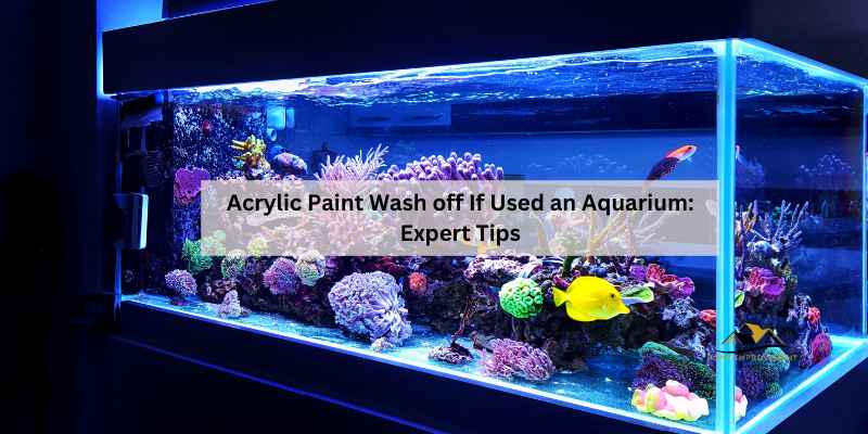 Acrylic Paint Wash off If Used an Aquarium