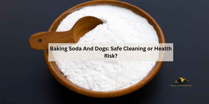 Baking Soda And Dogs