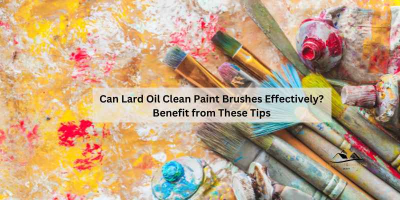 Can Lard Oil Clean Paint Brushes Effectively