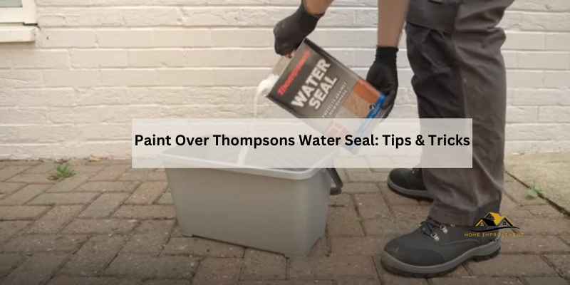 Paint Over Thompsons Water Seal