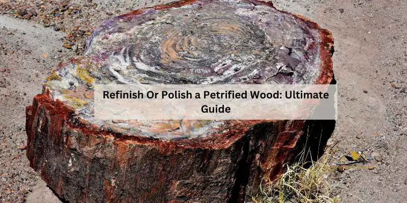 Refinish Or Polish a Petrified Wood
