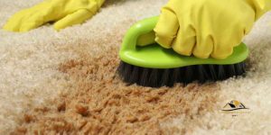 Remove Dyes from Carpet