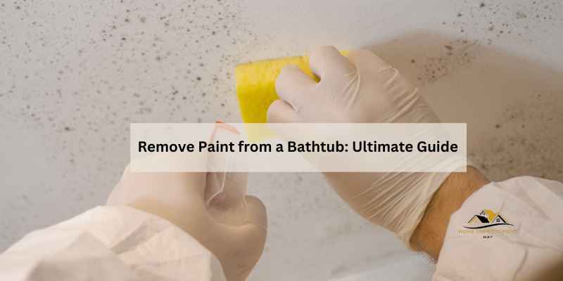 Remove Paint from a Bathtub