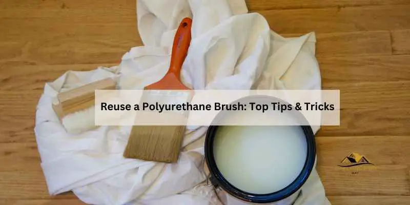Reuse a Polyurethane Brush