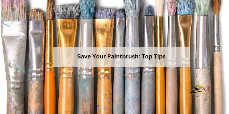 Save Your Paintbrush