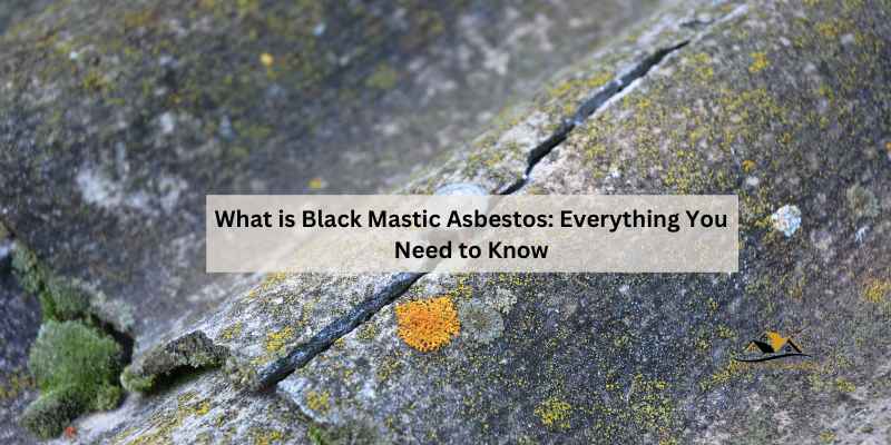 What is Black Mastic Asbestos