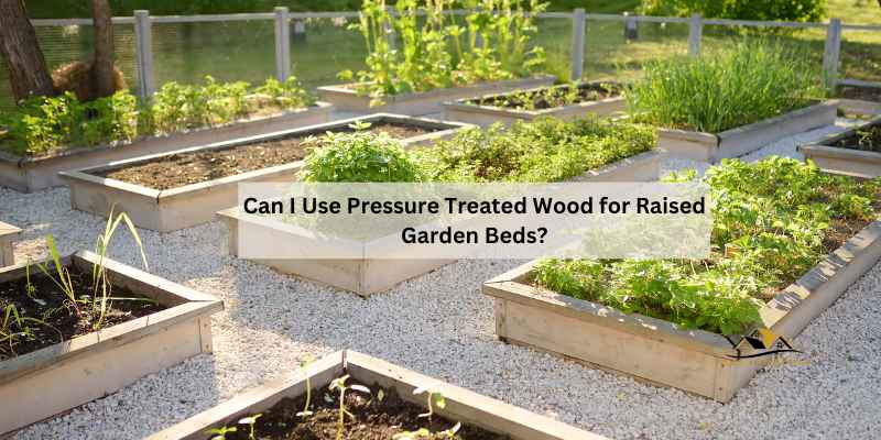 Can I Use Pressure Treated Wood for Raised Garden