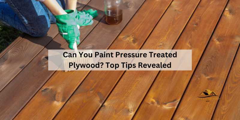 Can You Paint Pressure Treated Plywood