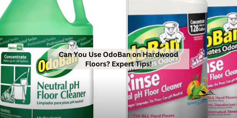 Can You Use OdoBan on Hardwood Floors