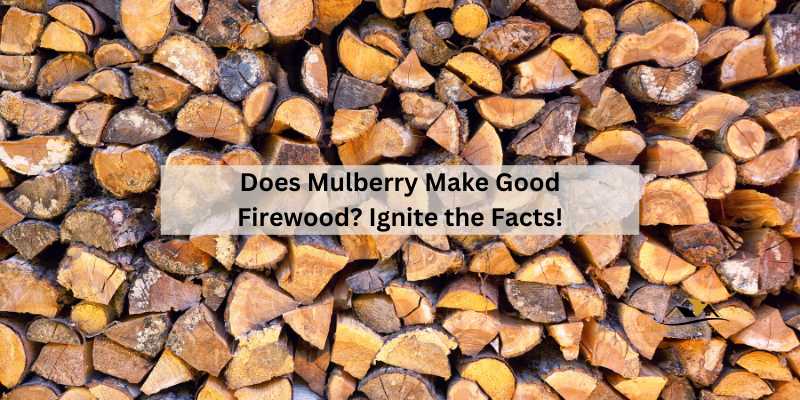 Does Mulberry Make Good Firewood