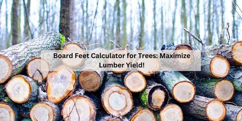 Board Feet Calculator for Trees