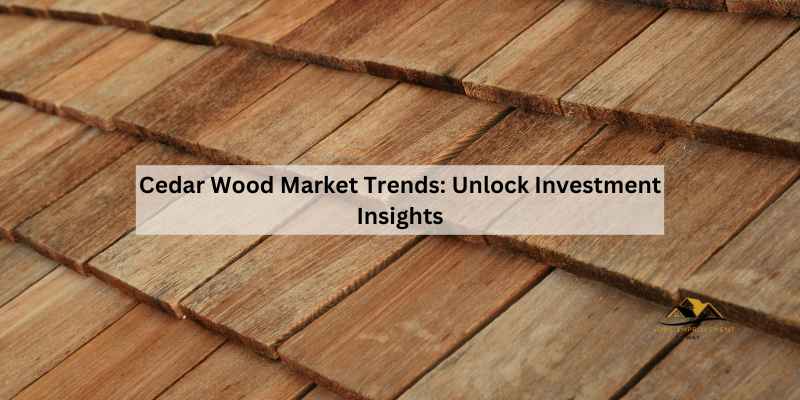 Cedar Wood Market Trends