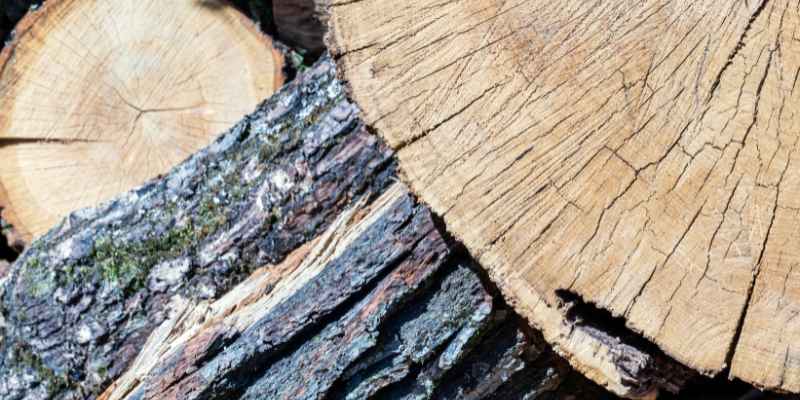 Chavez Oak Firewood: The Ultimate Guide for Cozy Nights