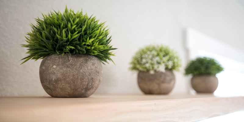 Faux Boxwood Fillers: Elevate Your Space Instantly!