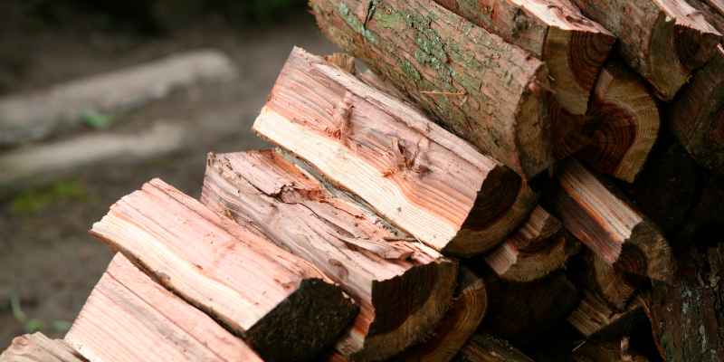 Firewood Prescott Az: Top Picks for Cozy Nights In