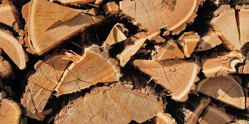 Firewood Stamford Ct: Your Ultimate Guide to Quality Logs