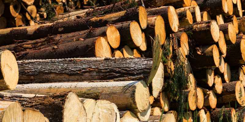 Long Beach Firewood: Ignite Your Cozy Evenings!