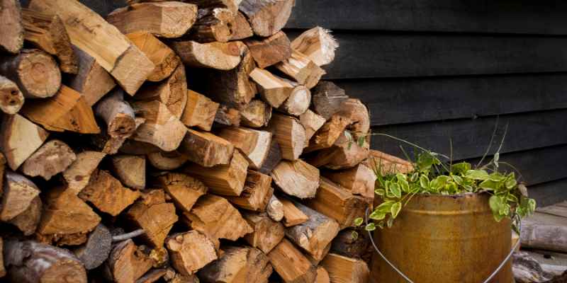 Maestretti Firewood: Ignite Cozy Evenings with Quality