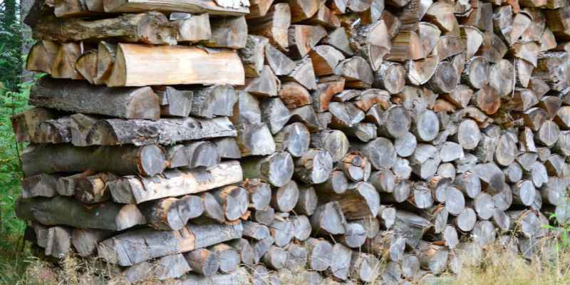 Premier Firewood Ct: The Ultimate Guide to Quality Firewood