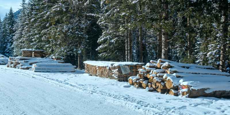 River Road Firewood: Your Gateway to Cozy Nights