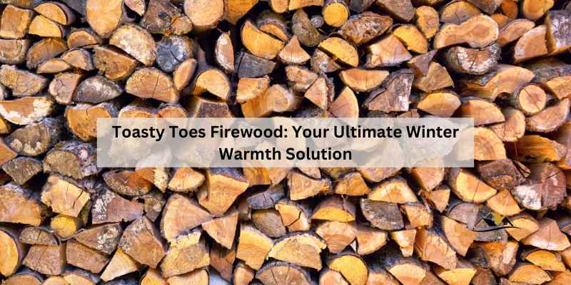 Toasty Toes Firewood