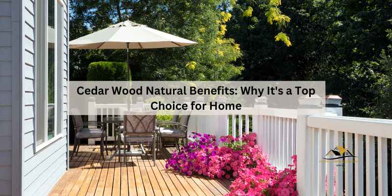 Cedar Wood Natural Benefits