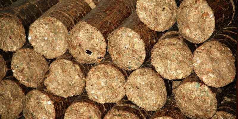 Firewood Ramona Ca: Your Ultimate Guide to Quality Wood