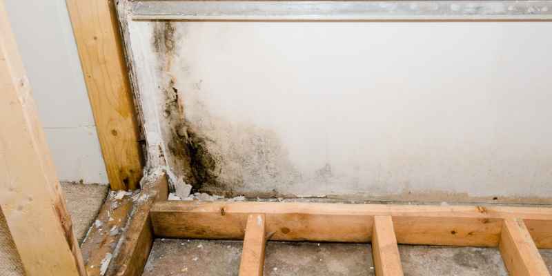 Hardwood Floor Mold: Banish & Protect Your Floors!