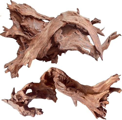 Best Driftwood for Aquarium