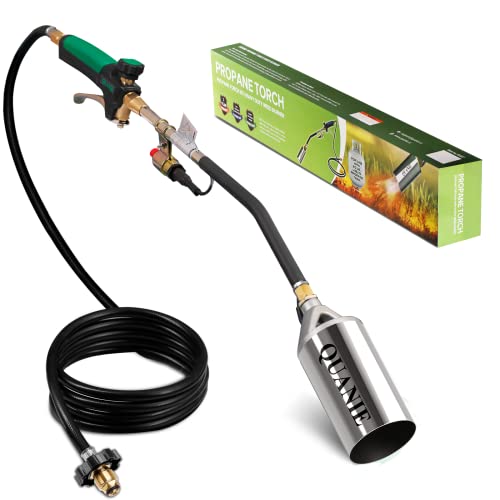 Best Propane Torch for Wood Burning