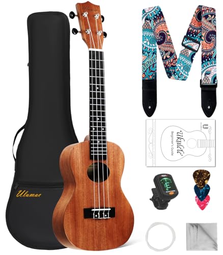 Best Solid Wood Ukulele for Beginners