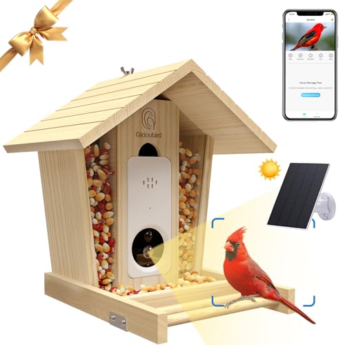 Best Wood for a Bird Feeder