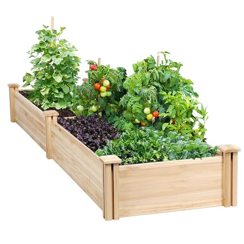 Best Wood for Garden Boxes