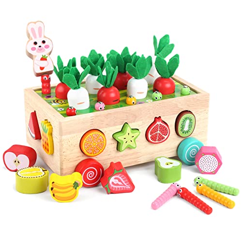 Best Wooden Toys for 2 Year Old