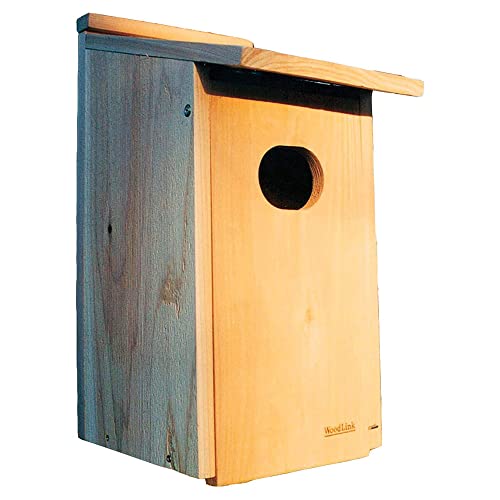 Buy Wood Duck Boxes