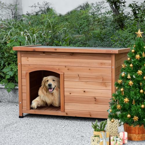 Buy Wooden Dog House