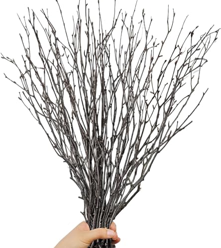 Decorative Wood Sticks for Vases