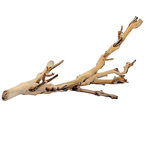 Driftwood for Snake Tank