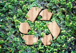 Can Plywood Be Recycled